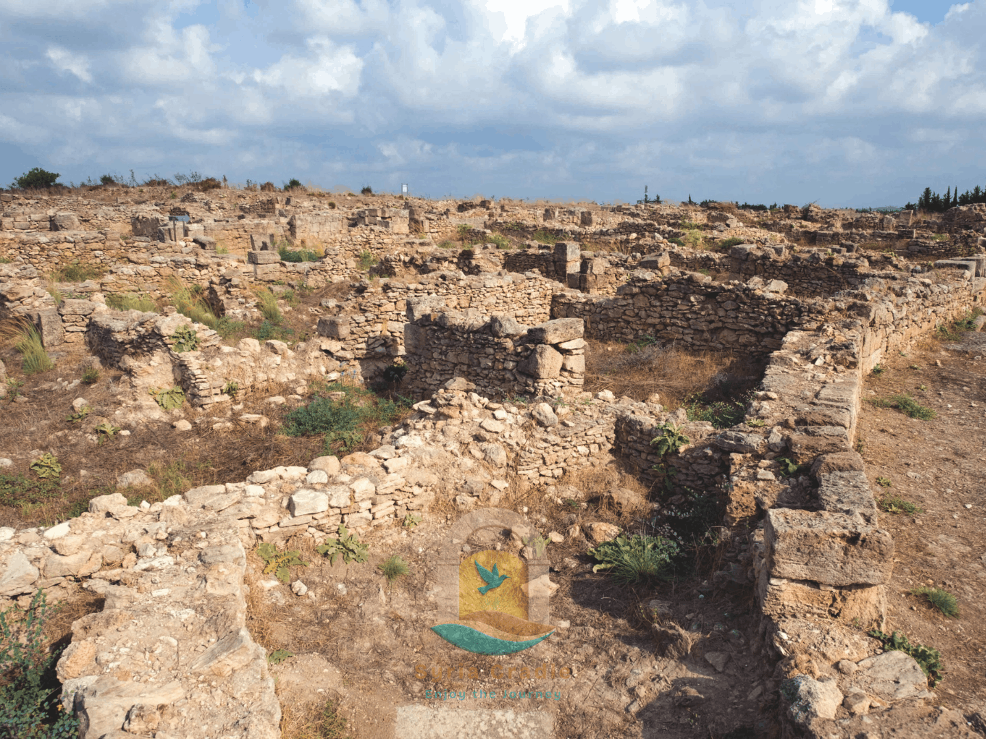 Mediterranean Legacy: Syria Coast & Crusader Castles Journey