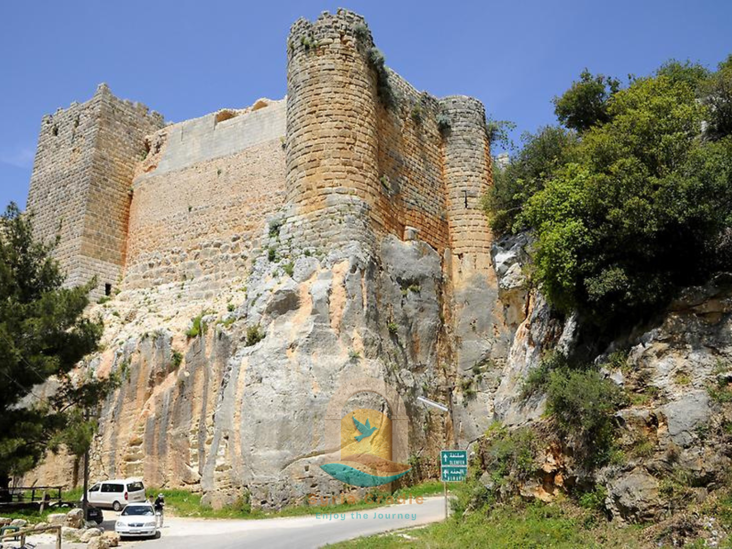 Syria Cradle: Origins & Mediterranean Discovery