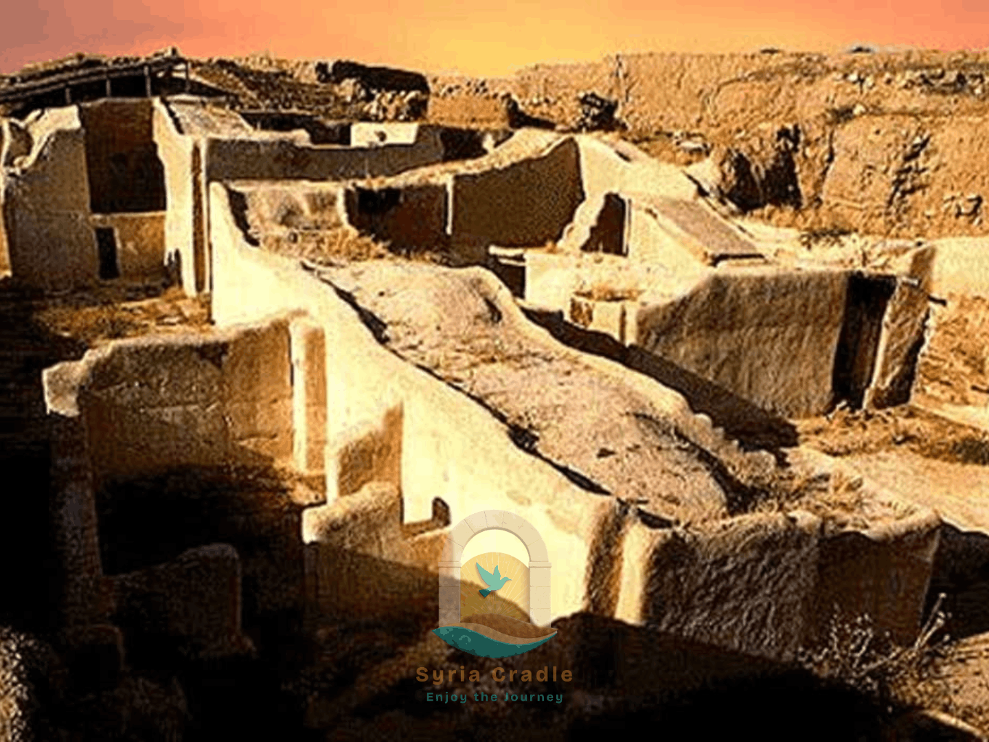 Syria Intense Expedition: Capitals, Castles & Desert Empires